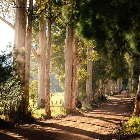 Karrak Reach Forest Retreat Денмарк Екстер'єр фото